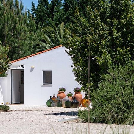 Sete Quintas Country House Салватера де Магос Екстериор снимка