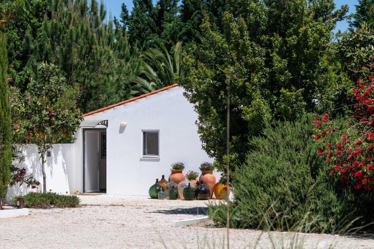 Sete Quintas Country House Салватера де Магос Екстериор снимка